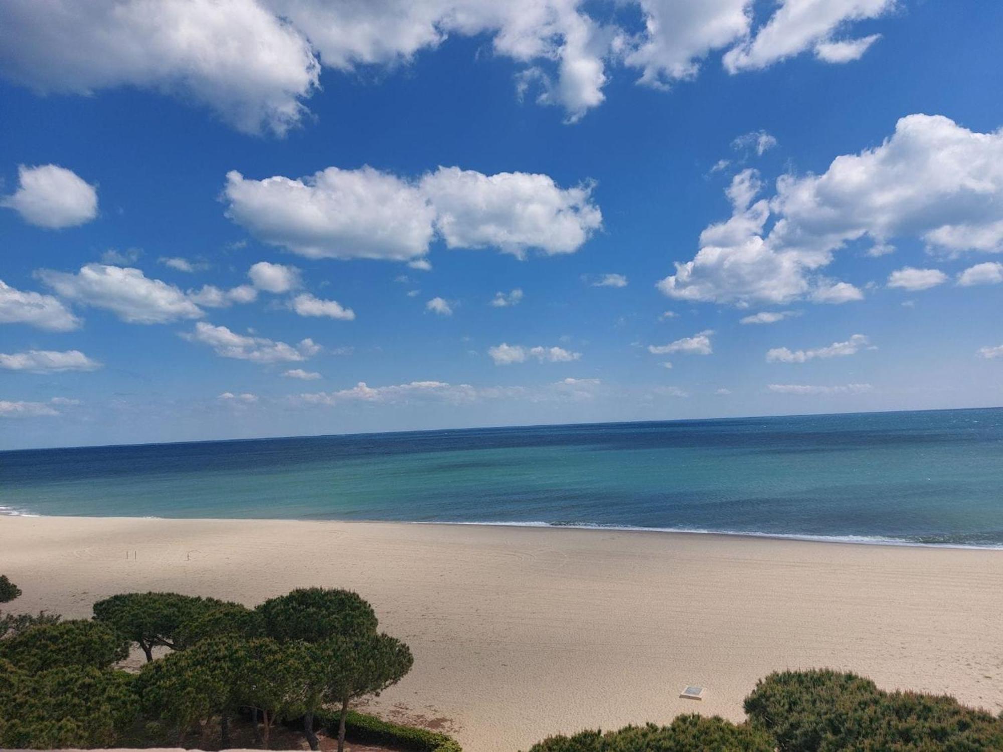 Pavillon 6 Pers A Argeles-Sur-Mer: Piscine, Clim, Parking, Wifi, Proche Plage - Fr-1-776-5 מראה חיצוני תמונה